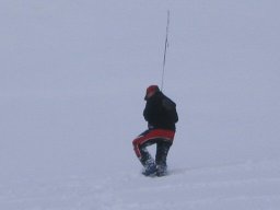 L&#039;Ouille Allegra